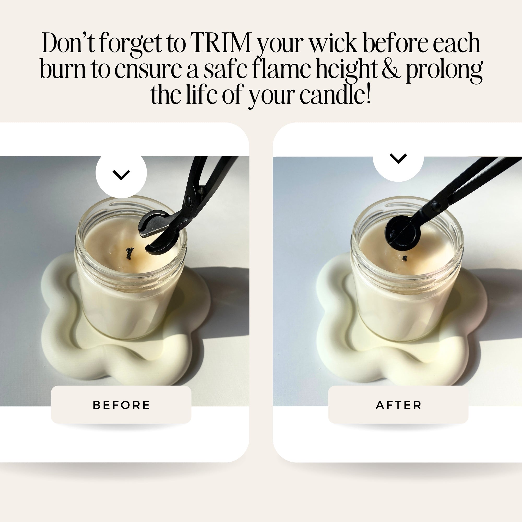 Champagne Berries 7.5 oz Coconut Soy Wax Candle Holiday Collection