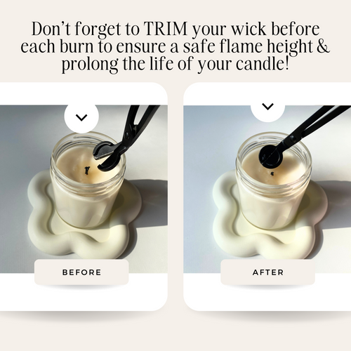 Apple Cider 7.5 oz Coconut Soy Wax Candle