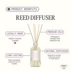 Mango Coconut Reed diffusers 4 oz  Made in Canada tropical blend Scented Phthalate, Paraben Free