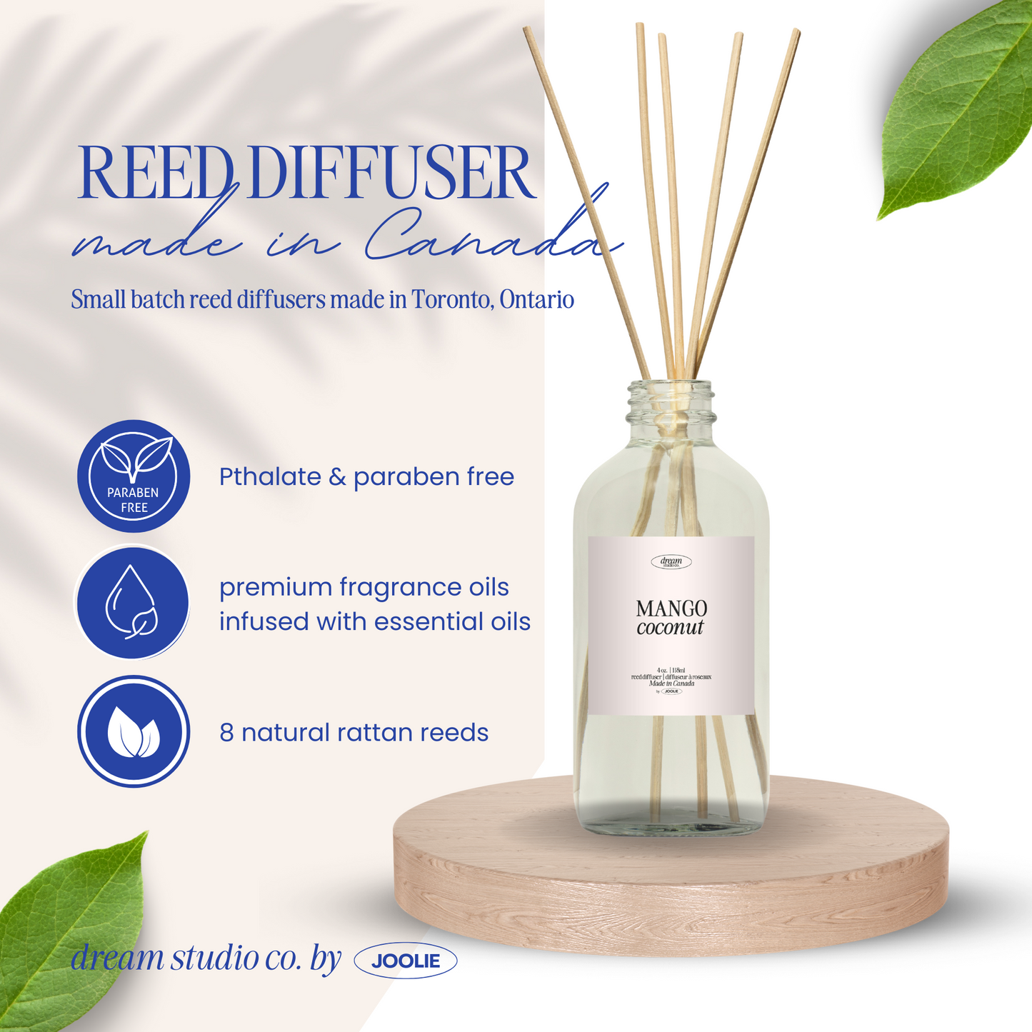 Dream Studio CO. by JOOLIE Reed diffusers 4 oz Mango Coconut Made in Canada tropical blend Scented Pthalate, Paraben Free